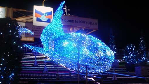 イルミネーション海遊館