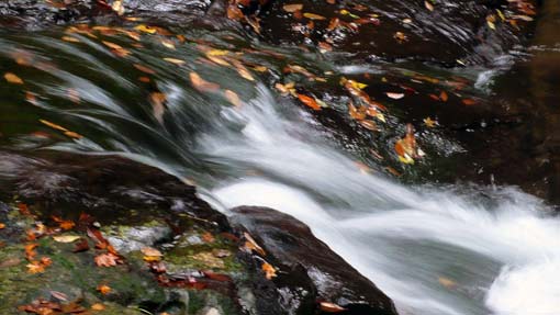 秋よ、さようなら１