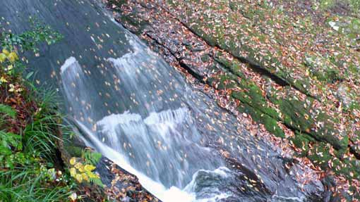 秋よ、さようなら２