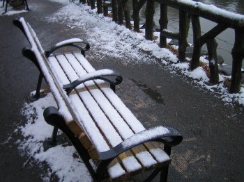 雪の善福寺公園