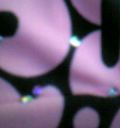 2005-11-02 01:36:34