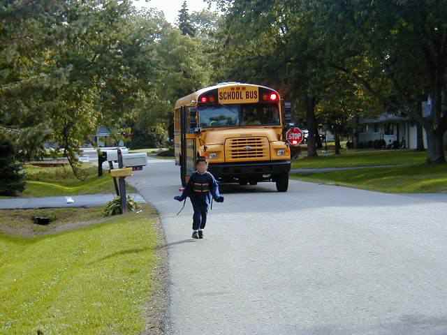 Schoolbus1.jpg