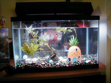 tank2assyuku.JPG