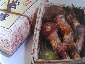 裏山で捜そう！