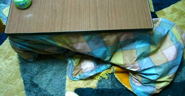 誰に似たんや？・・ウチやないで・・