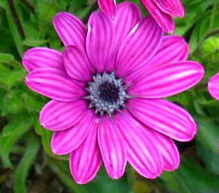 これも前から好きなんや～持って帰ったろかな？