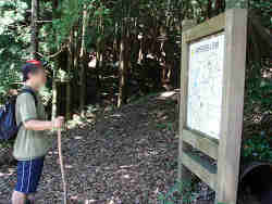 自然観察路４入り口