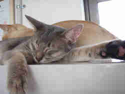 なんか・・人ごととは思えない・・