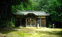 お初にお目にかかりやす・・この辺りのナワバリを・・