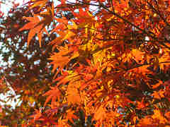 みとれる～～～！