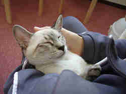 連れて帰ろうかな～？