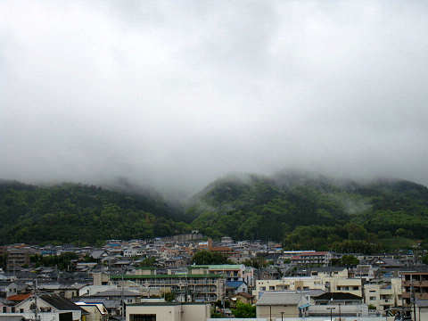 雨に濡れながら～