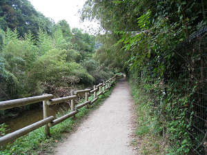 気持ちよい川沿いの道