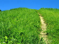 昼間はこんなトコ・・