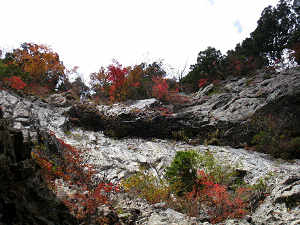 首が・・痛い・・