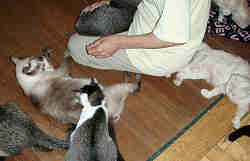 大歓迎を受ける！！