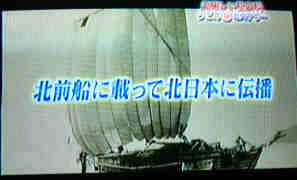 北前船～！牛さんの曾祖父も乗っていた