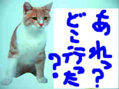 あれ？いない・・