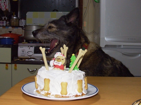 いつになったら食べていいの？