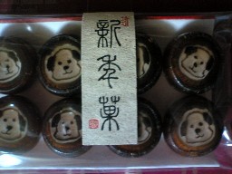 犬の金太郎飴み～つけた！