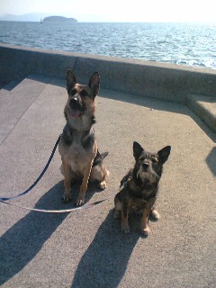 今年も宜しくね