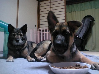 遊んだ後で