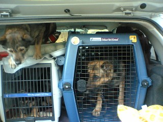 みんなでおでかけ