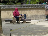 忍者犬の休日