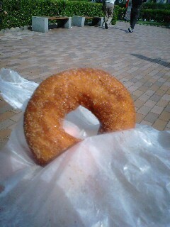 はらドーナッツ