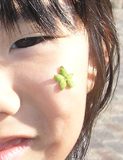 顔にひっつき虫