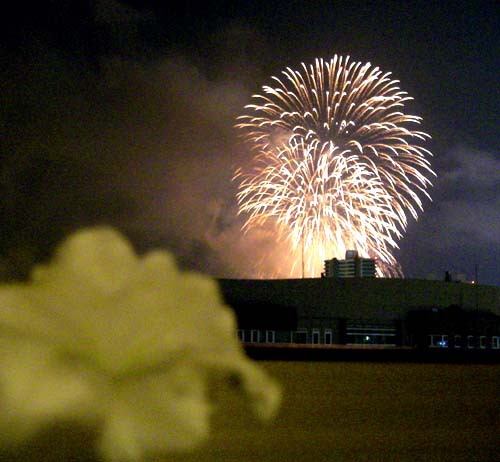 08.8.1-hanabi