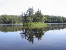 知床五湖の三湖にて