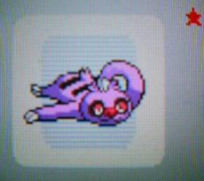 ナマケロ.jpg