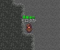ヒロタか