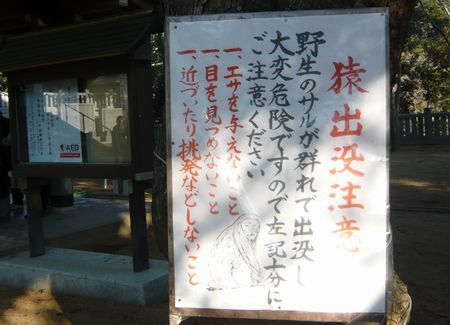 110108大麻彦古神社サル注意.jpg