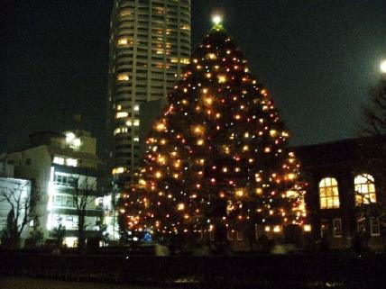 立教大学クリスマスツリー