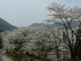 なりわ太鼓丸公園