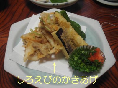 しろえび