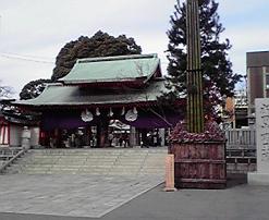 ナリタサン.jpg