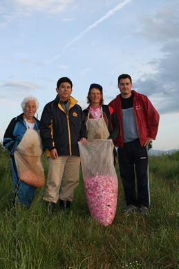 ブルガリア１２