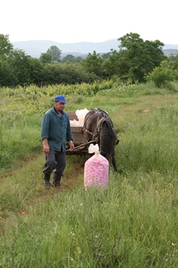 ブルガリア１３