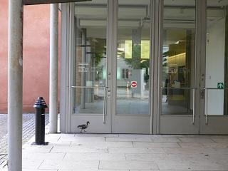 Moderna Museet Door.JPG