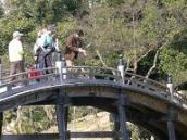 栗林公園_偃月橋：tanakaken20070221.JPG