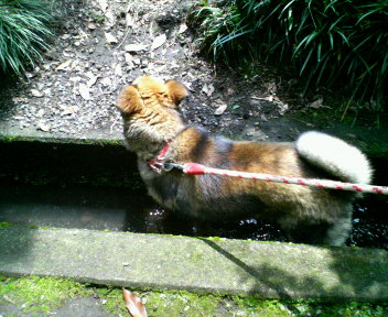 水遊び２.jpg