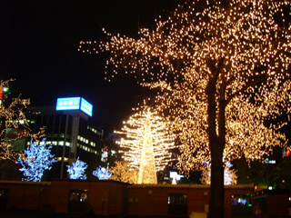 さっぽろホワイトイルミネーション　その２