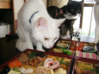 osechi3.JPG