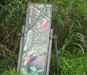 yanbaru3.jpg