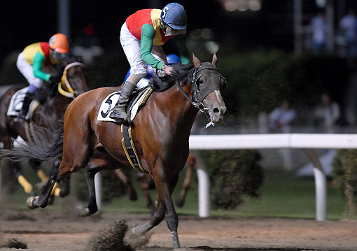 イシノゼフィルス070307