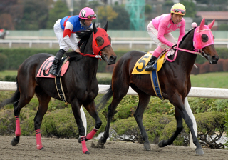 112206r9Uchida_uchida