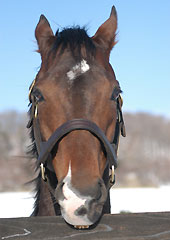 ツルマルボーイ013005